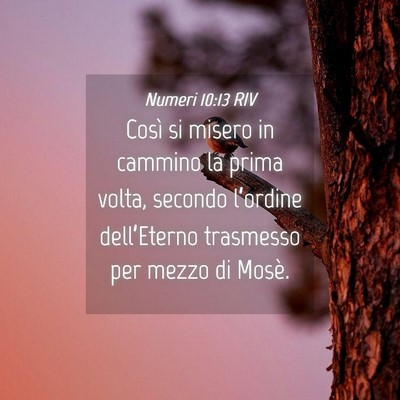 Picture 04 - Numeri 10:13 RIV - Così si misero in cammino la prima volta, - Bible Verse Picture
