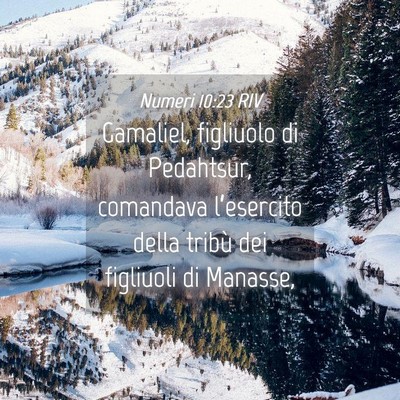 Picture 04 - Numeri 10:23 RIV - Gamaliel, figliuolo di Pedahtsur, comandava - Bible Verse Picture