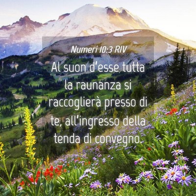 Picture 04 - Numeri 10:3 RIV - Al suon d’esse tutta la raunanza si - Bible Verse Picture