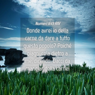 Picture 04 - Numeri 11:13 RIV - Donde avrei io della carne da dare a tutto questo - Bible Verse Picture