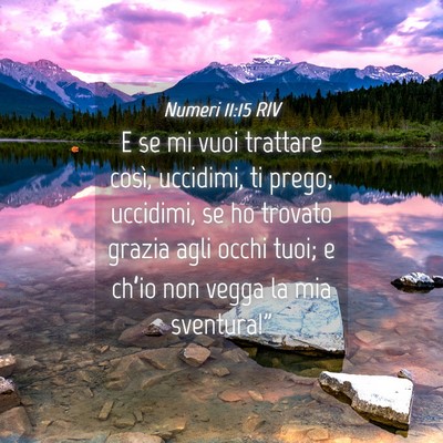 Picture 04 - Numeri 11:15 RIV - E se mi vuoi trattare così, uccidimi, ti prego; - Bible Verse Picture