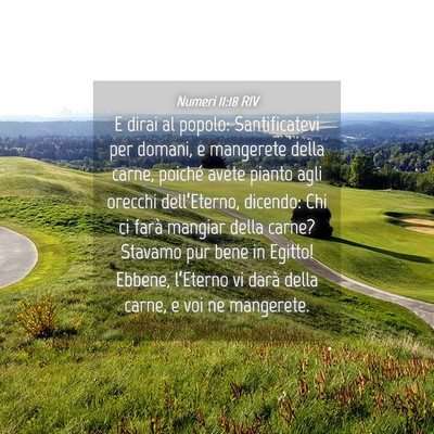 Picture 04 - Numeri 11:18 RIV - E dirai al popolo: Santificatevi per domani, e - Bible Verse Picture