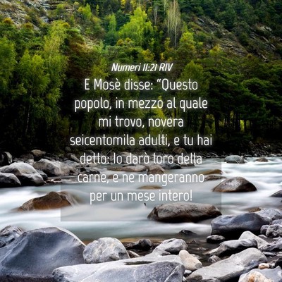 Picture 04 - Numeri 11:21 RIV - E Mosè disse: “Questo popolo, in mezzo al - Bible Verse Picture