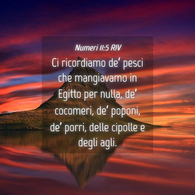 Picture 04 - Numeri 11:5 RIV - Ci ricordiamo de’ pesci che mangiavamo in - Bible Verse Picture