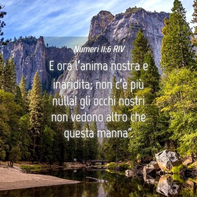 Picture 04 - Numeri 11:6 RIV - E ora l’anima nostra e inaridita; non c’è - Bible Verse Picture