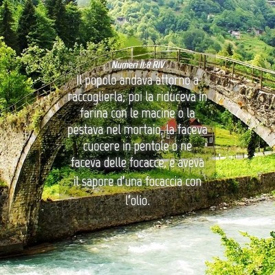 Picture 04 - Numeri 11:8 RIV - Il popolo andava attorno a raccoglierla; poi la - Bible Verse Picture