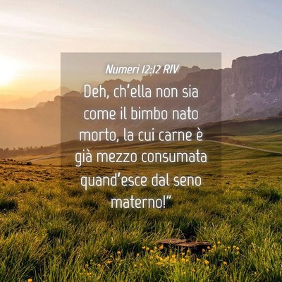 Picture 04 - Numeri 12:12 RIV - Deh, ch’ella non sia come il bimbo nato morto, - Bible Verse Picture