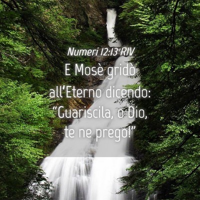 Picture 04 - Numeri 12:13 RIV - E Mosè gridò all’Eterno dicendo: - Bible Verse Picture