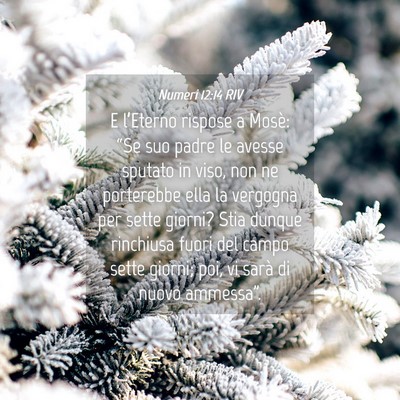 Picture 04 - Numeri 12:14 RIV - E l’Eterno rispose a Mosè: “Se suo padre le - Bible Verse Picture
