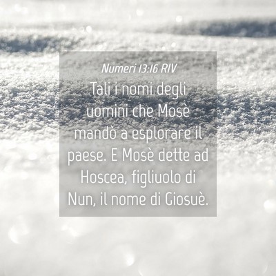Picture 04 - Numeri 13:16 RIV - Tali i nomi degli uomini che Mosè mandò a - Bible Verse Picture
