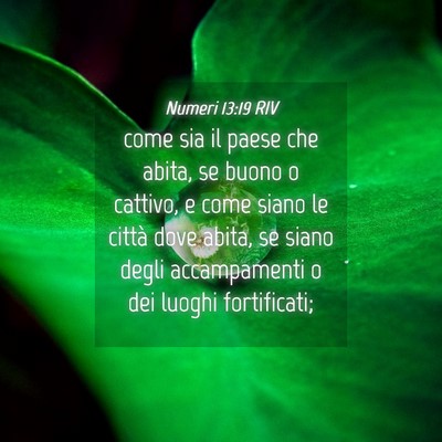 Picture 04 - Numeri 13:19 RIV - come sia il paese che abita, se buono o cattivo, - Bible Verse Picture