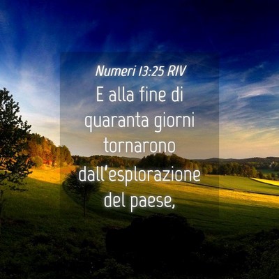 Picture 04 - Numeri 13:25 RIV - E alla fine di quaranta giorni tornarono - Bible Verse Picture