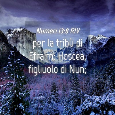 Picture 04 - Numeri 13:8 RIV - per la tribù di Efraim: Hoscea, figliuolo di - Bible Verse Picture