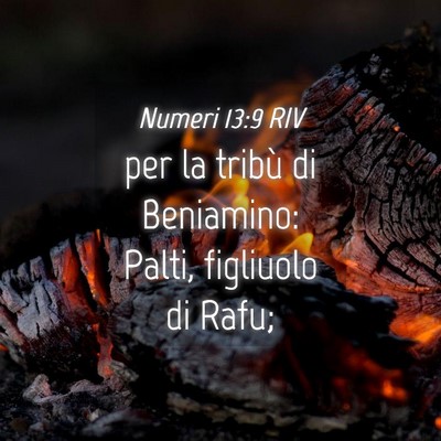 Picture 04 - Numeri 13:9 RIV - per la tribù di Beniamino: Palti, figliuolo di - Bible Verse Picture