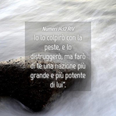Picture 04 - Numeri 14:12 RIV - Io lo colpirò con la peste, e lo distruggerò, - Bible Verse Picture