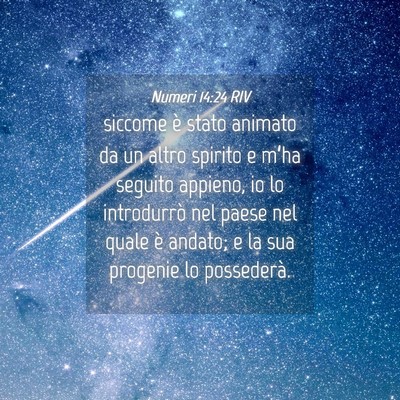 Picture 04 - Numeri 14:24 RIV - siccome è stato animato da un altro spirito e - Bible Verse Picture