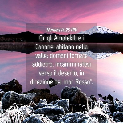 Picture 04 - Numeri 14:25 RIV - Or gli Amalekiti e i Cananei abitano nella valle; - Bible Verse Picture