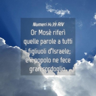 Picture 04 - Numeri 14:39 RIV - Or Mosè riferì quelle parole a tutti i - Bible Verse Picture