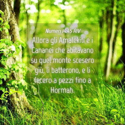 Picture 04 - Numeri 14:45 RIV - Allora gli Amalekiti e i Cananei che abitavano su - Bible Verse Picture