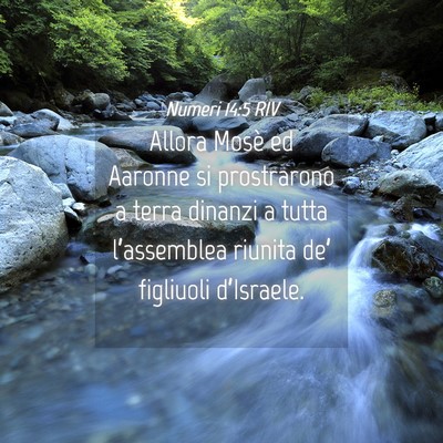 Picture 04 - Numeri 14:5 RIV - Allora Mosè ed Aaronne si prostrarono a terra - Bible Verse Picture