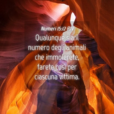Picture 04 - Numeri 15:12 RIV - Qualunque sia il numero degli animali che - Bible Verse Picture