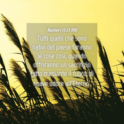 Picture 04 - Numeri 15:13 RIV - Tutti quelli che sono nativi del paese faranno le - Bible Verse Picture