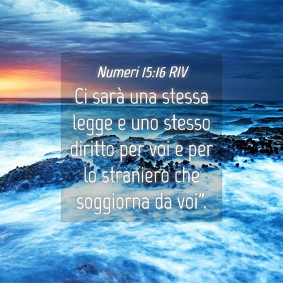 Picture 04 - Numeri 15:16 RIV - Ci sarà una stessa legge e uno stesso diritto - Bible Verse Picture