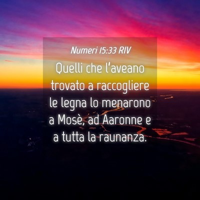 Picture 04 - Numeri 15:33 RIV - Quelli che l’aveano trovato a raccogliere le - Bible Verse Picture