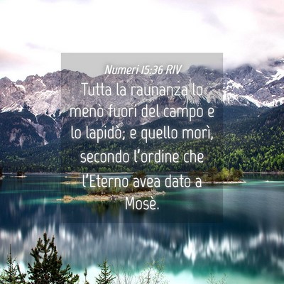 Picture 04 - Numeri 15:36 RIV - Tutta la raunanza lo menò fuori del campo e lo - Bible Verse Picture