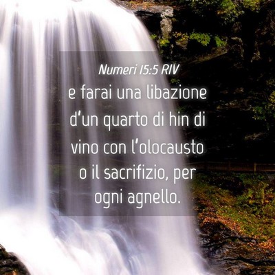 Picture 04 - Numeri 15:5 RIV - e farai una libazione d’un quarto di hin di - Bible Verse Picture