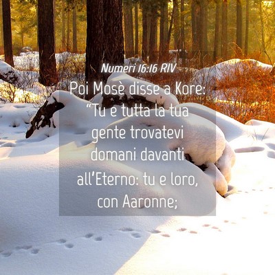 Picture 04 - Numeri 16:16 RIV - Poi Mosè disse a Kore: “Tu e tutta la tua - Bible Verse Picture