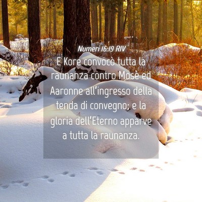 Picture 04 - Numeri 16:19 RIV - E Kore convocò tutta la raunanza contro Mosè ed - Bible Verse Picture