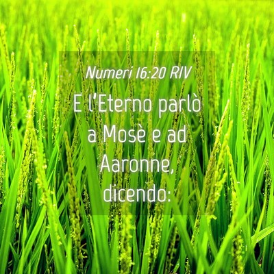 Picture 04 - Numeri 16:20 RIV - E l’Eterno parlò a Mosè e ad Aaronne, - Bible Verse Picture