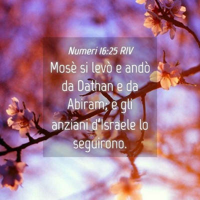 Picture 04 - Numeri 16:25 RIV - Mosè si levò e andò da Dathan e da Abiram; e - Bible Verse Picture
