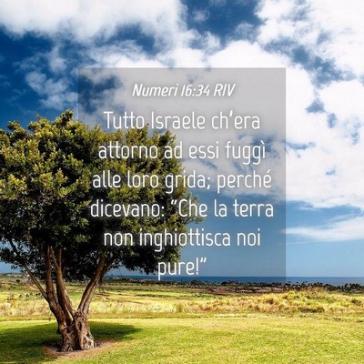 Picture 04 - Numeri 16:34 RIV - Tutto Israele ch’era attorno ad essi fuggì - Bible Verse Picture