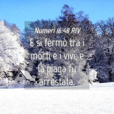 Picture 04 - Numeri 16:48 RIV - E si fermò tra i morti e i vivi, e la piaga fu - Bible Verse Picture