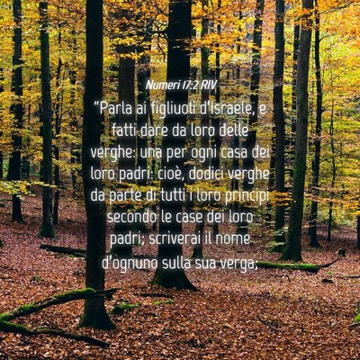Picture 04 - Numeri 17:2 RIV - “Parla ai figliuoli d’Israele, e fatti dare - Bible Verse Picture