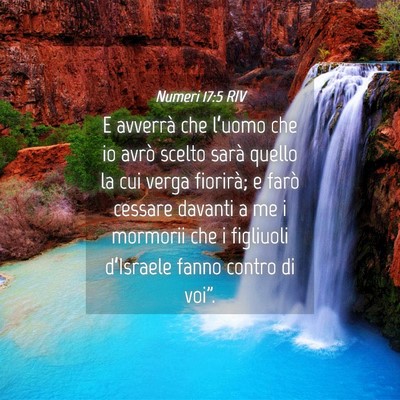 Picture 04 - Numeri 17:5 RIV - E avverrà che l’uomo che io avrò scelto sarà - Bible Verse Picture