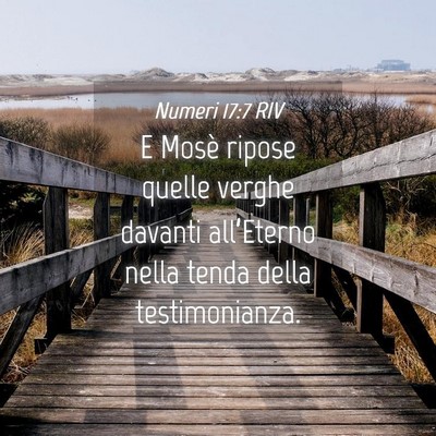 Picture 04 - Numeri 17:7 RIV - E Mosè ripose quelle verghe davanti all’Eterno - Bible Verse Picture