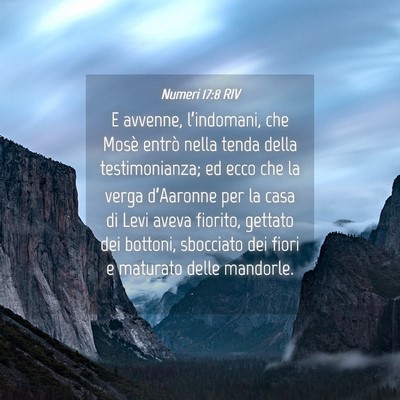 Picture 04 - Numeri 17:8 RIV - E avvenne, l’indomani, che Mosè entrò nella - Bible Verse Picture