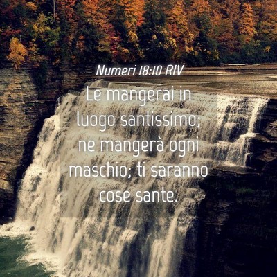 Picture 04 - Numeri 18:10 RIV - Le mangerai in luogo santissimo; ne mangerà ogni - Bible Verse Picture