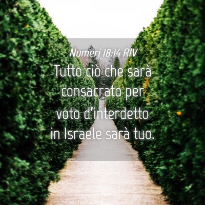 Picture 04 - Numeri 18:14 RIV - Tutto ciò che sarà consacrato per voto - Bible Verse Picture