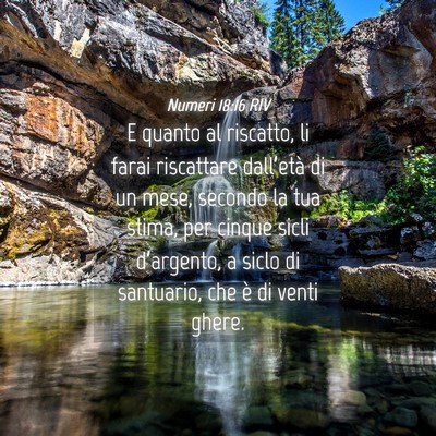 Picture 04 - Numeri 18:16 RIV - E quanto al riscatto, li farai riscattare - Bible Verse Picture