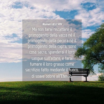 Picture 04 - Numeri 18:17 RIV - Ma non farai riscattare il primogenito della - Bible Verse Picture