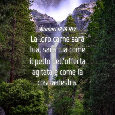Picture 04 - Numeri 18:18 RIV - La loro carne sarà tua; sarà tua come il petto - Bible Verse Picture