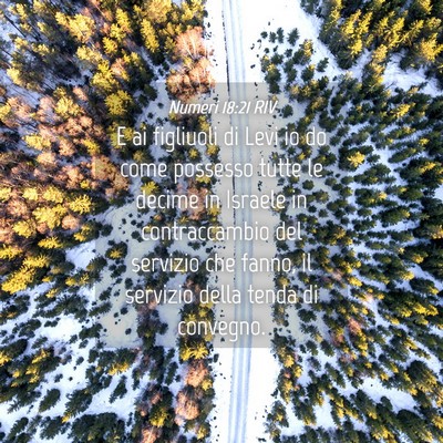 Picture 04 - Numeri 18:21 RIV - E ai figliuoli di Levi io do come possesso tutte - Bible Verse Picture
