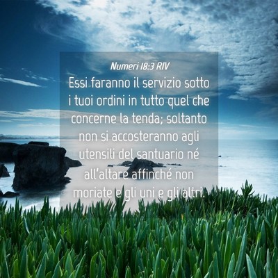 Picture 04 - Numeri 18:3 RIV - Essi faranno il servizio sotto i tuoi ordini in - Bible Verse Picture