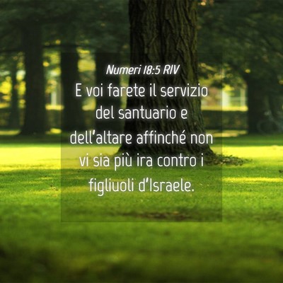 Picture 04 - Numeri 18:5 RIV - E voi farete il servizio del santuario e - Bible Verse Picture