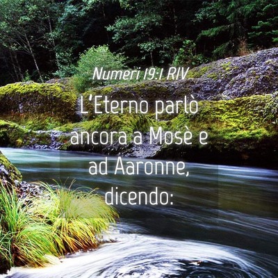 Picture 04 - Numeri 19:1 RIV - L’Eterno parlò ancora a Mosè e ad Aaronne, - Bible Verse Picture