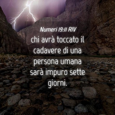 Picture 04 - Numeri 19:11 RIV - chi avrà toccato il cadavere di una persona - Bible Verse Picture